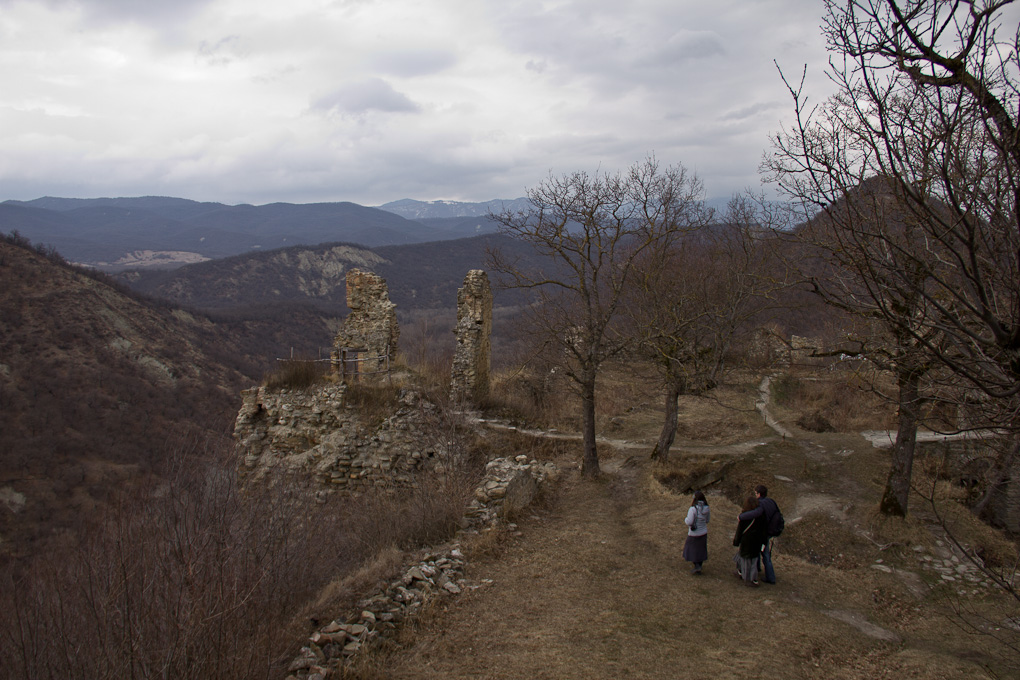 Ujarma